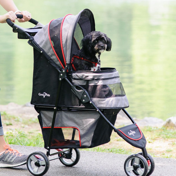 Gen7Pets Regal Plus™ Pet Stroller & Reviews Wayfair